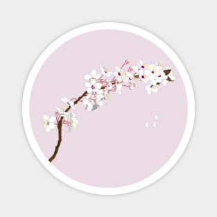 Sakura flower Magnet